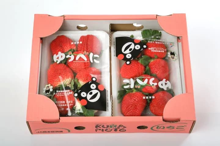 🍓 日本熊本夢幻草莓 🌸✨