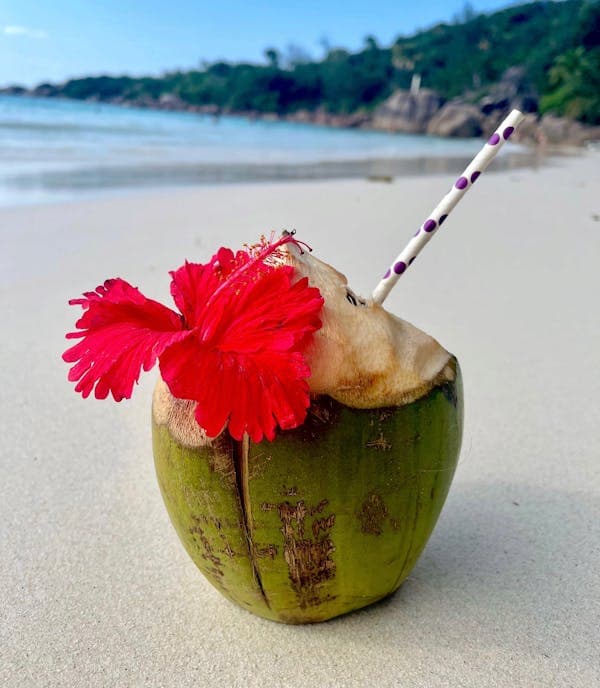 🥥 椰子：大自然的清涼甘露，營養滿分！🥥