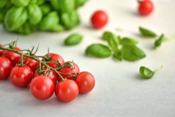 🍅 小番茄：多汁鮮甜，營養豐富的健康之選！🍅 