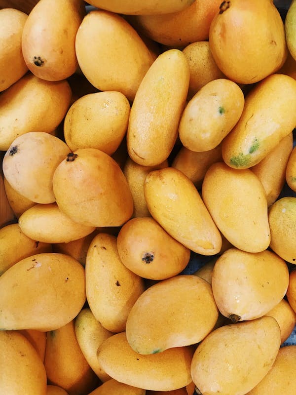 🥭金煌 芒果：熱帶水果之王，香甜多汁的美味享受！🥭
