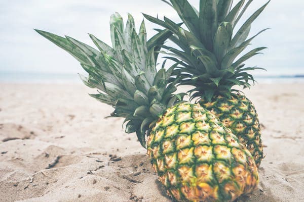 🍍 鳳梨：熱帶陽光的甜美滋味，營養豐富！🍍