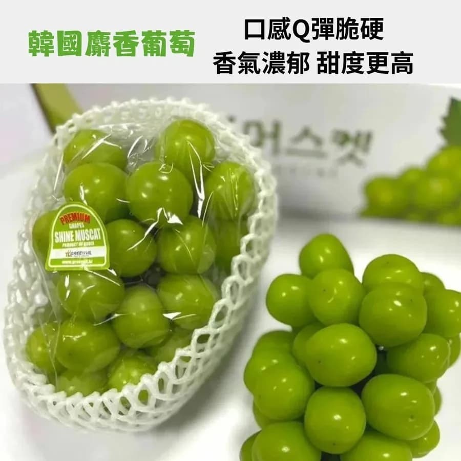 🍇韓國麝香葡萄🍇